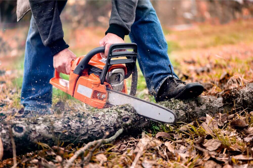 Best Chainsaw for Home Use